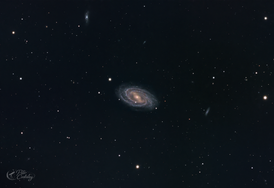 Vacuum-Cleaner Galaxy