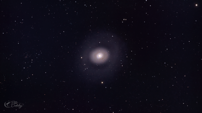 Croc's Eye Galaxy